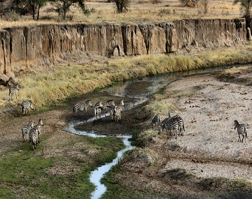 3 days 2 nights serengeti Safari to Serengeti National Park & Ngorongoro Crater