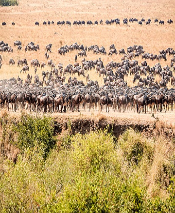 2-Days-Tarangire-National-Park-&-Ngorongoro-Crater-tanzania-safari
